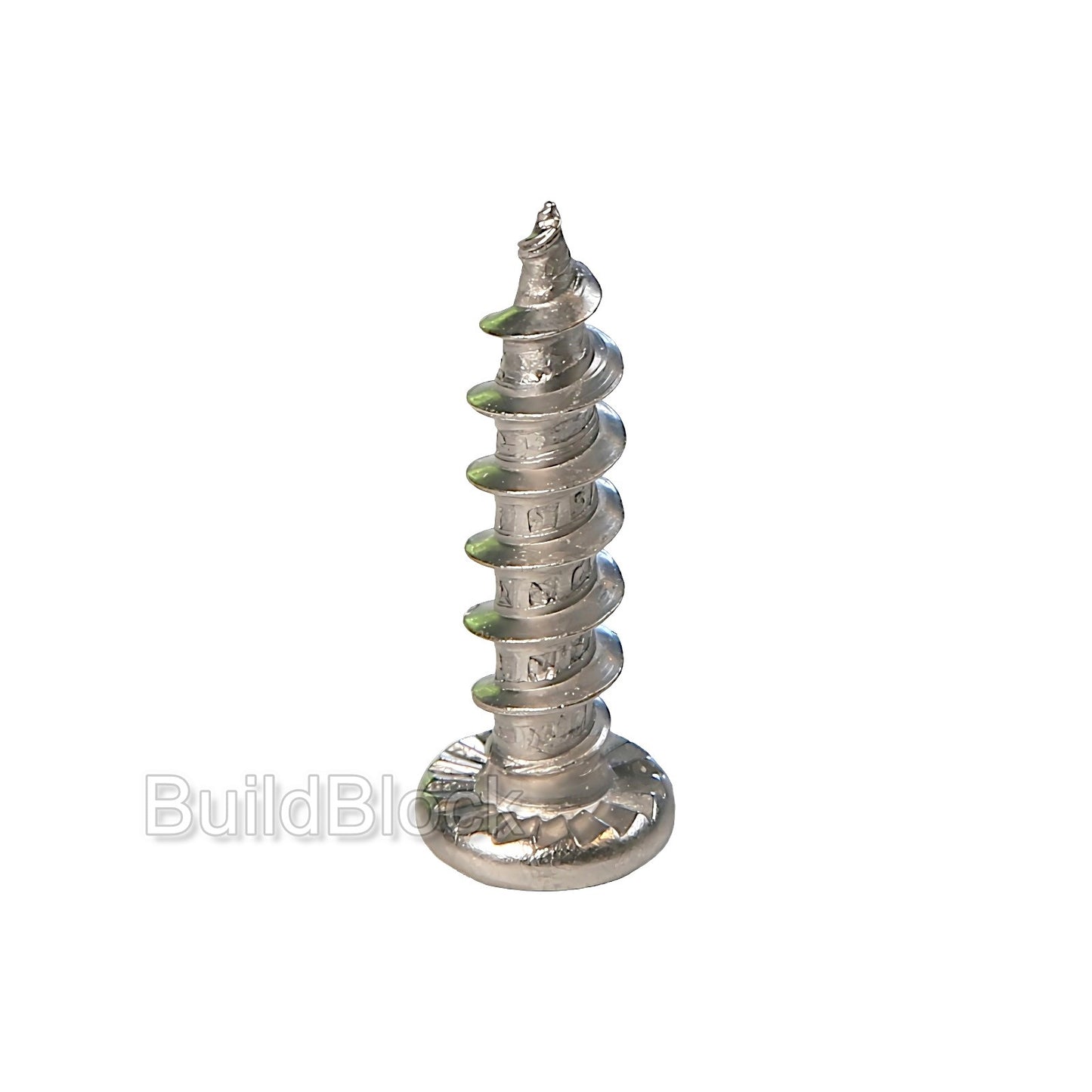 Stainless Steel Window Repair Screws